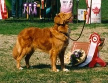 Ronja BIS Tollarpecialen 1994